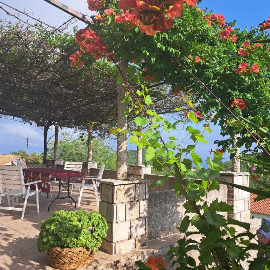 Guest House Tanja Babino Polje Exterior photo