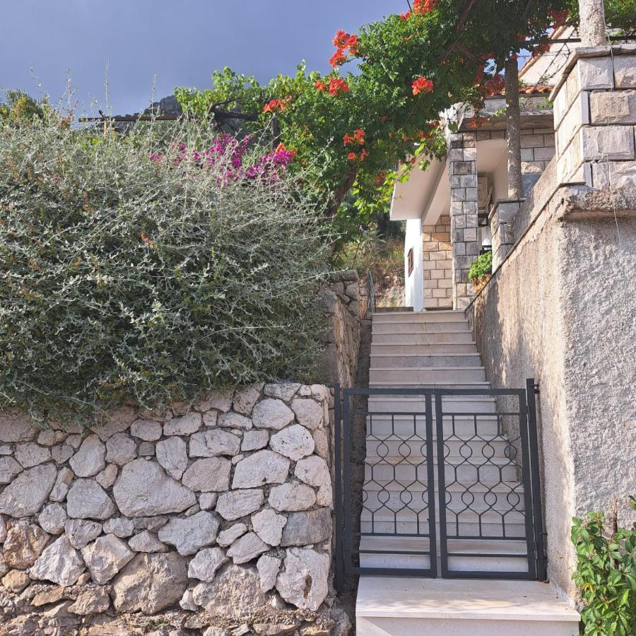 Guest House Tanja Babino Polje Exterior photo